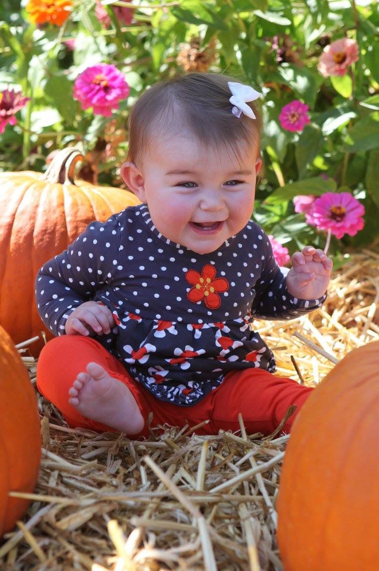 Picking Pumpkins 2017